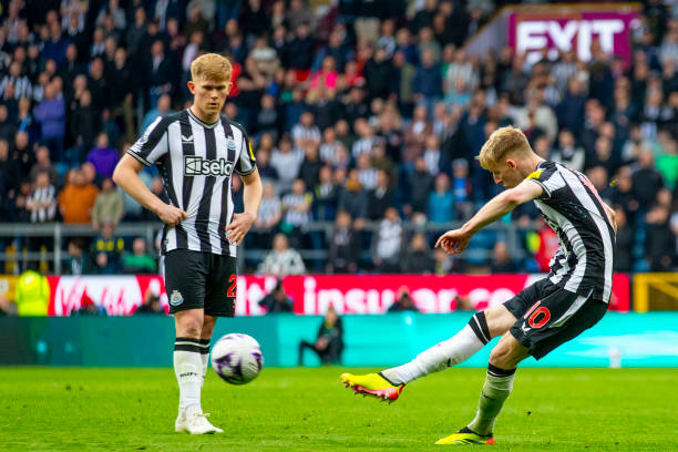 或许将成为 或许将成为