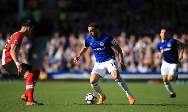 起到了至关 起到了至关